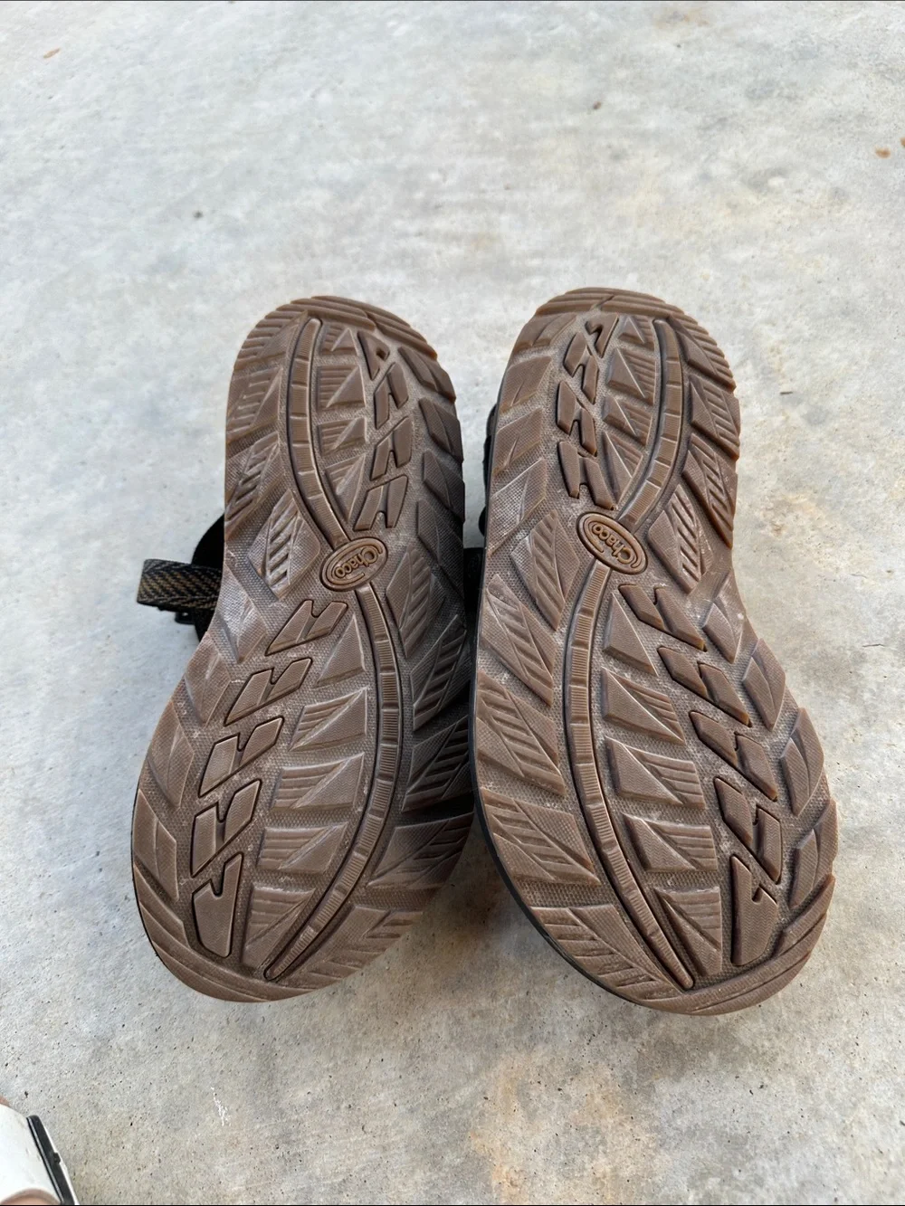 CHACO men's z2 classic sandal in leant java sz9